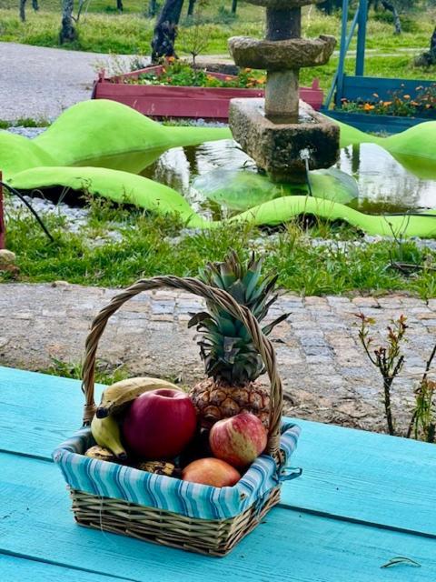 Bed and Breakfast Zion Jardim Monsanto Exteriér fotografie