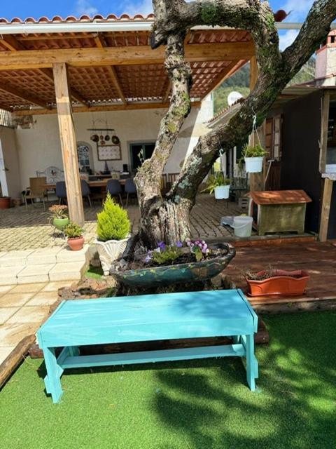Bed and Breakfast Zion Jardim Monsanto Exteriér fotografie